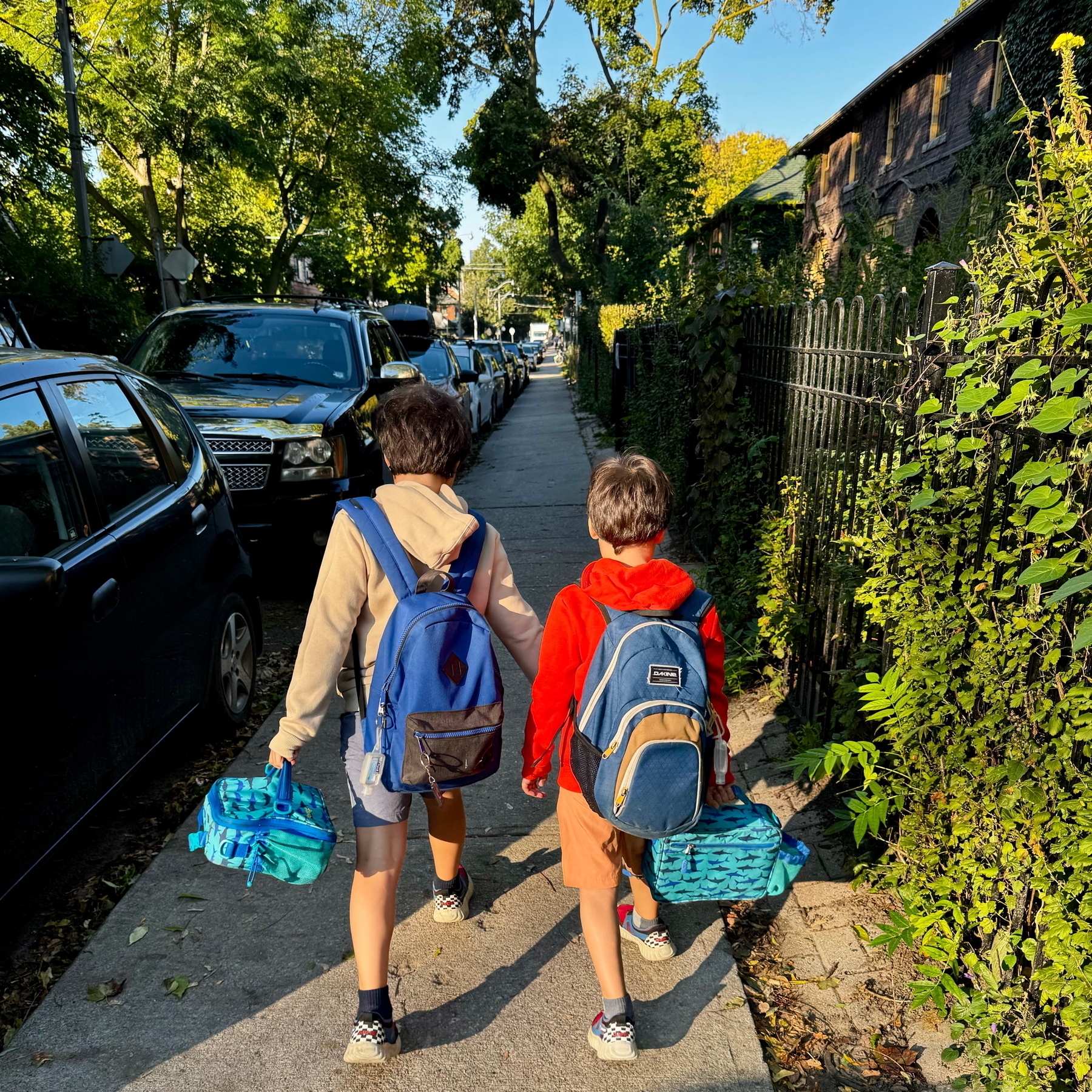 Two children walk down a sidewalk holding hands. Each carries a backpack and a blue lunchbox. The scene is lined with parked cars on one side and greenery on the other.